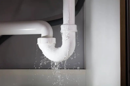 Learn how to prevent water damage in your home.