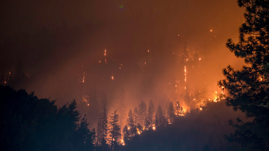 A Property Manager's Guide to Wildfire Preparedness