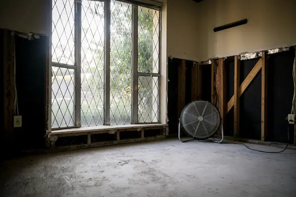 Learn about cleaning after water damage